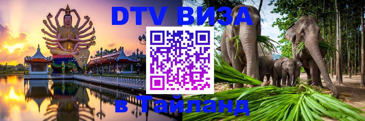 Оформление DTV визы под ключ: стоимость и тарифы, только загранпаспорт - Стерлитамак  20.11.2025 